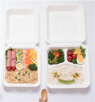韶能绿洲A9寸3格餐盒一次性降解餐盒外卖餐具野餐餐具