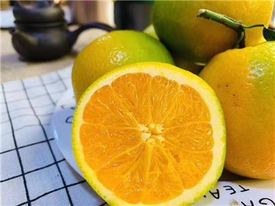 水果代理*应季水果秭归夏橙 客齐聚水果生鲜批发零售一件代发
