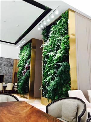 海南植物墙绿化 上门服务 测量尺寸