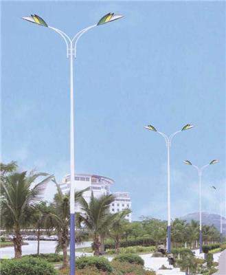 佳木斯2020年新款市电LED路灯