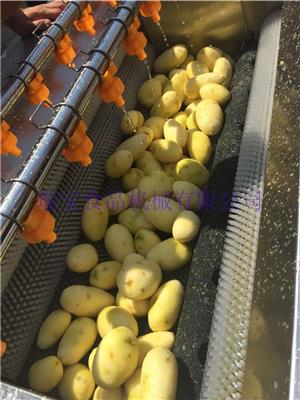 中药材清洗机 瑞宝 MG-1500型土豆去皮清洗机 当归清洗机