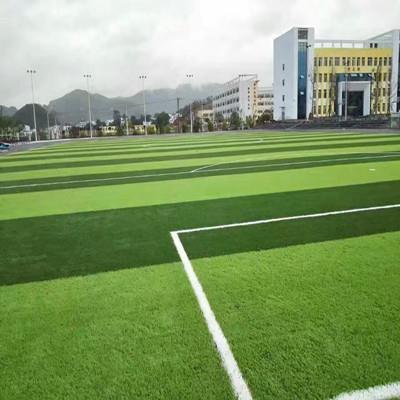 广西人造草坪足球场