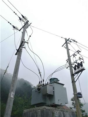 西安线路末端调压器生产厂家 陕西南业电力设备有限公司
