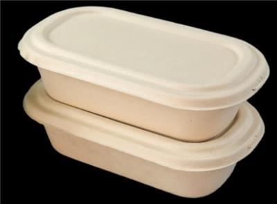 一次性餐具可降解餐盒甘蔗渣碗植物纤维饭盒外卖打包