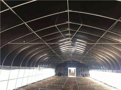 养殖棚怎么建 长沙养殖棚 日光温室日光养殖棚