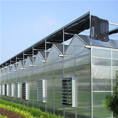 厂家承接阳光板温室大棚 生态温室大棚 连栋阳光板温室