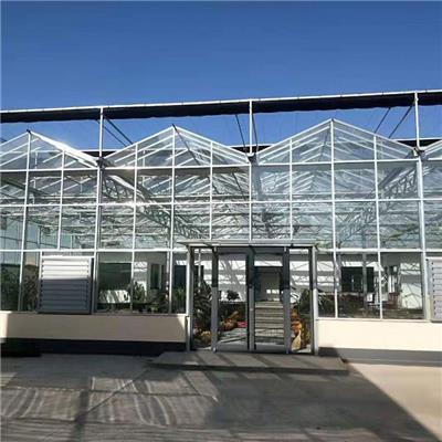 智能玻璃温室 玻璃大棚 生态玻璃温室连栋温室 智能玻璃大棚