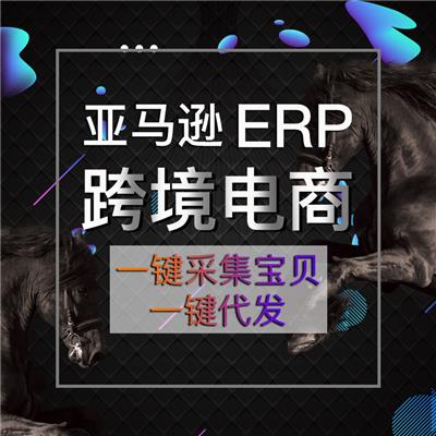 跨境电商无货源铺货ERP软件定制
