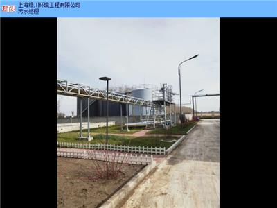 山西粗甘油生物柴油设备 上海绿川环境工程供应