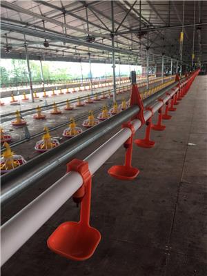 供应料线 水线 控料器 养鸭料线 平养系统
