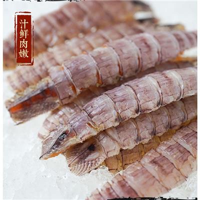 阳江皮皮虾进货渠道 虾菇 营养丰富