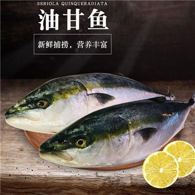 北海日本青甘鱼 章红鱼 口感清甜爽滑