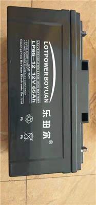 LOTPOWER乐博尔蓄电池LP65-12 12V65AH 通信电源UPS电源直流屏用