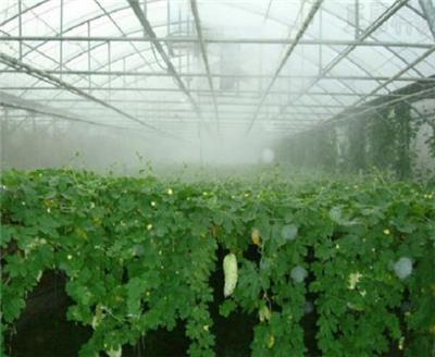 郑州雾森蔬菜大棚自动加湿喷雾设备建筑工地扬尘治理喷雾系统