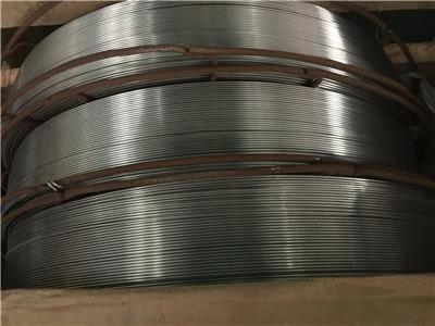 INCONEL600不锈钢钢丝 兴化市天诚不锈钢制品厂