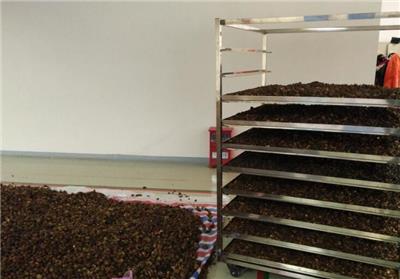 株洲油茶籽烘干机供应 多层翻转穿流烘干仓正式投产