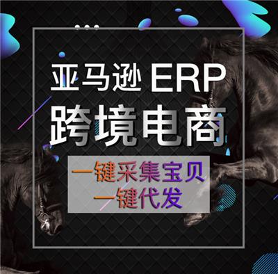 跨境杰夫 独立部署数据私有化 ERP系统OEM贴牌招商定制方案