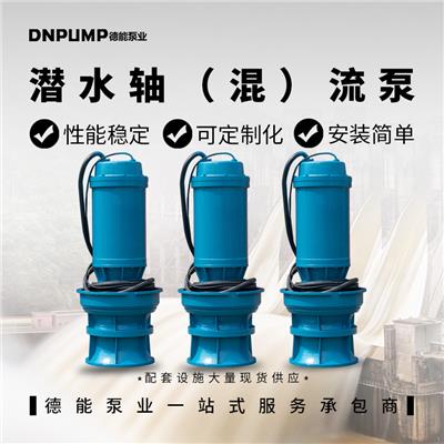 长江流域使用 天津悬吊式潜水轴流泵生产厂家