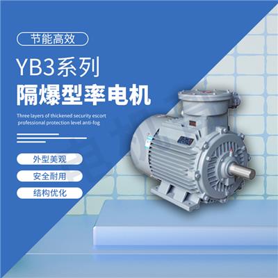 湖南皖南电机 YB3系列隔爆型三相异步电动机 安全可靠