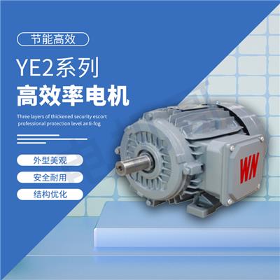 福州市皖南电机 YLV系列低压大功率三相异步电动机 总代理