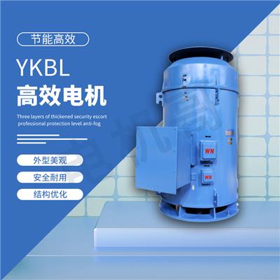 高压电机控制原理图 YKBL三相异步电动机 防护等级高