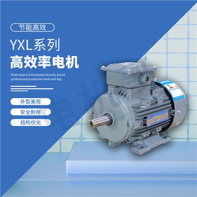 珠海市皖南电机 YLVF低压大功率变频电动机 适用于造纸
