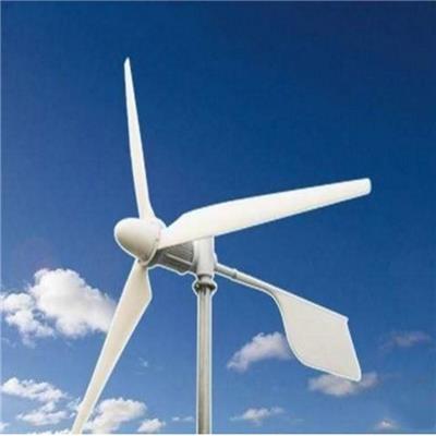 德州蓝润风力发电机草原用风力发电机厂家环保节能
