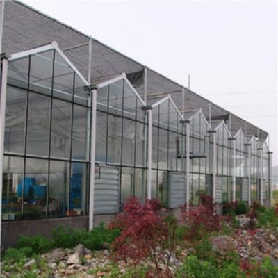 玻璃温室 玻璃温室大棚造价 玻璃温室咨询 施工快价格优惠