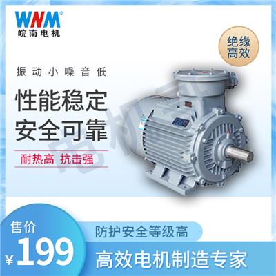 南京皖南电机销售处 YBX3系列高效率隔爆型三相异步电动机 可非标定制