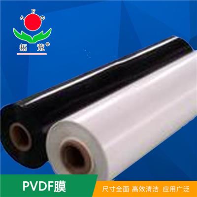 上海厂家直销pvdf保护膜 价格优惠 pvdf膜