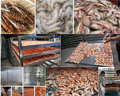 海虾、淡水虾烘干机#金凯热泵烘干#广州厂家直售，海鲜烘干机