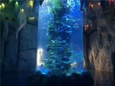 深圳海洋馆亚克力水族工程 海洋馆亚克力鱼缸 大型**玻璃鱼缸造景