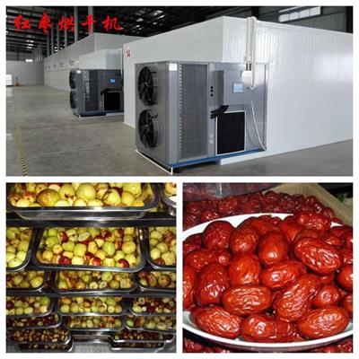 红枣烘干#金凯空气能烘干设备#广州厂家直售