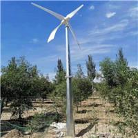 采用外转子设计100w风力发电机结构简单