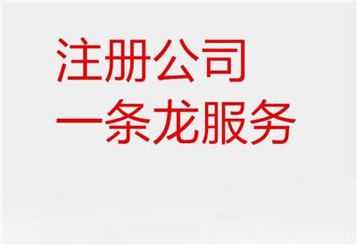 东丽东丽湖工商注册网上申报平台操作流程