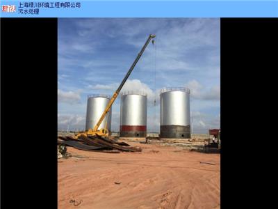 四川生物柴油设备生产厂家 客户至上 上海绿川环境工程供应