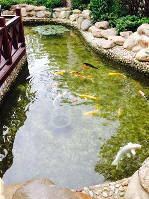 贵阳全自动鱼池水循环厂家 花园鱼池水过滤公司 操作简单