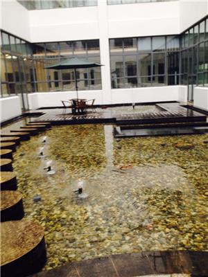 贵阳欧洲技术室内鱼池厂家 喷泉池循环系统设计 操作简单