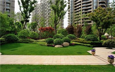 上海杨浦园林绿化施工技术规范 望南机械设备租赁供应