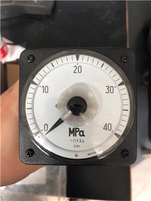 单相直流电压表PIM601MPA指针式电力仪表