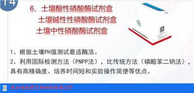 上海果胶酶试剂盒欢迎咨询 苏州格锐思生物科技供应