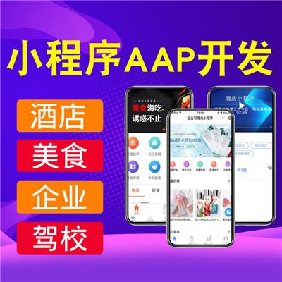 制作apkapk加固自定义api做功课app开发公司
