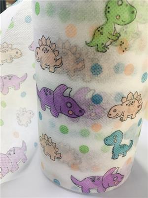 厂家零售批发 新款卡通恐龙儿童 水刺印花彩图无纺布