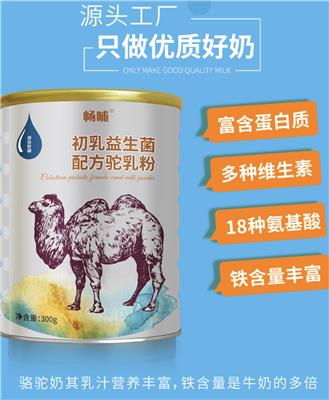 新疆新天雪乳业一件代发畅哺初乳益生菌骆驼奶粉代工