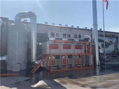 天津co催化燃烧设备价格 工业废气处理