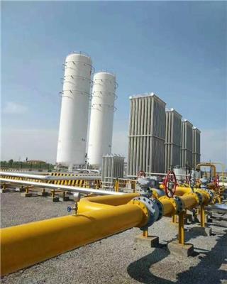 江苏气化器LNG汽化器 LPG汽化器 生产厂家