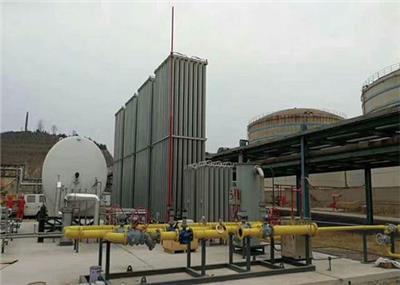 河池气化器LNG汽化器 空温式汽化器 生产厂家