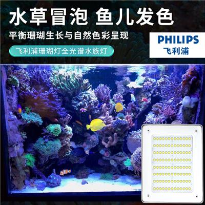 阳江t5珊瑚灯定做 飞利浦 多种类型可选