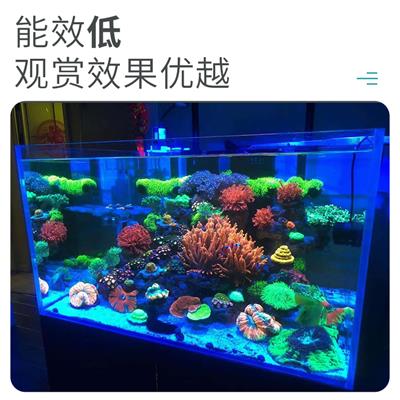 广州海缸珊瑚灯 飞利浦 被动式散热