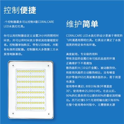 惠州迷你珊瑚灯供应商 飞利浦 提供多样化照明产品